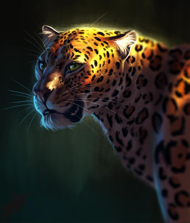 Detail Background Macan Nomer 43