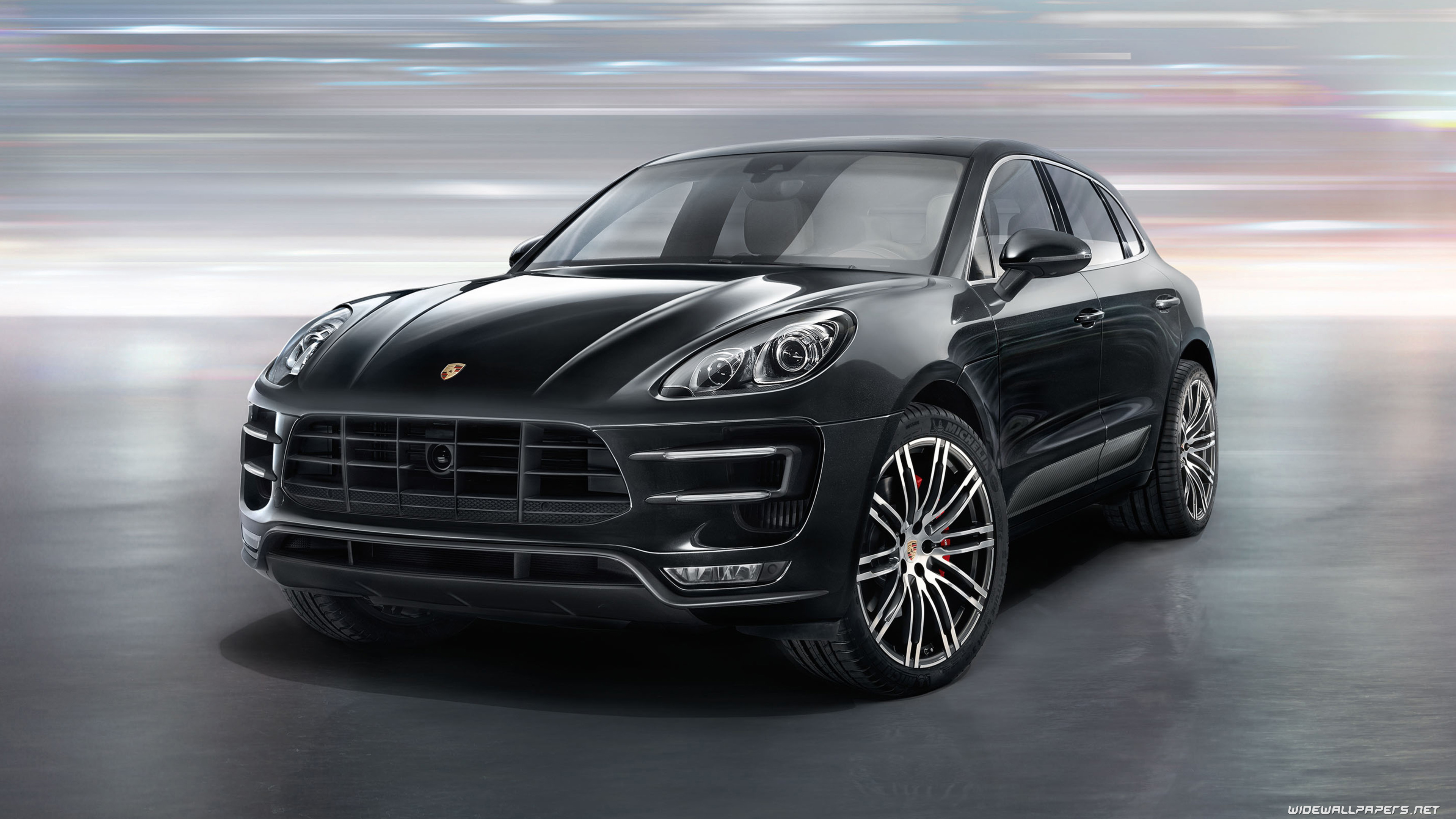 Detail Background Macan Nomer 46