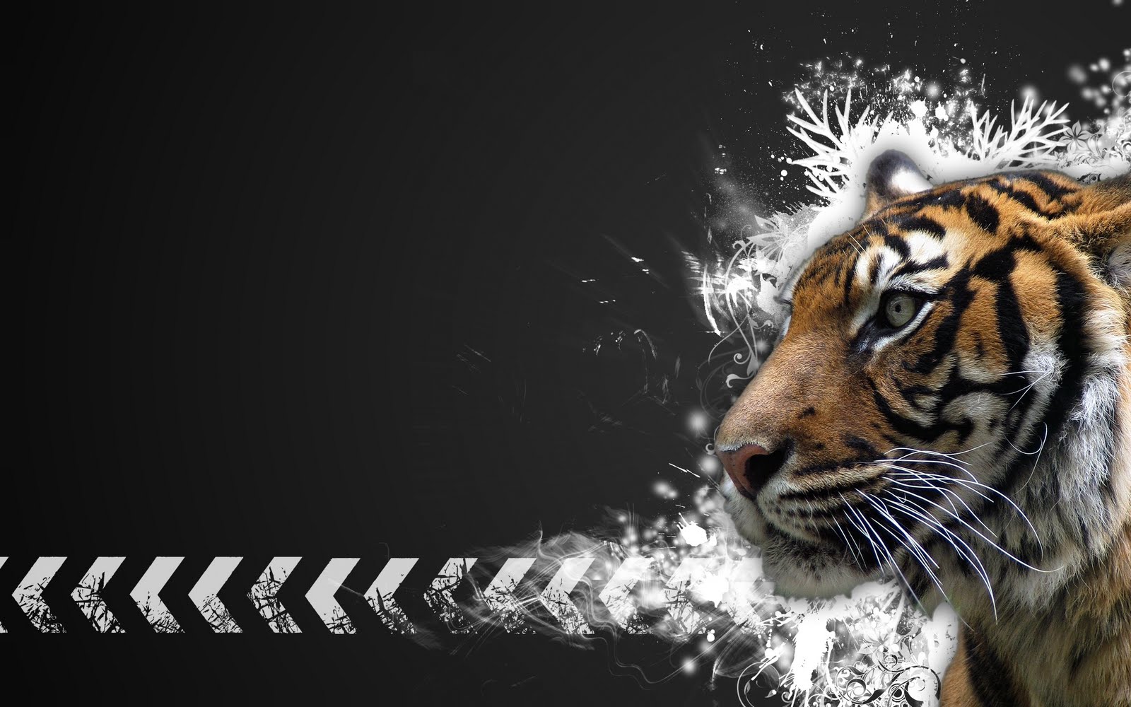 Detail Background Macan Nomer 49