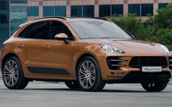 Detail Background Macan Nomer 51
