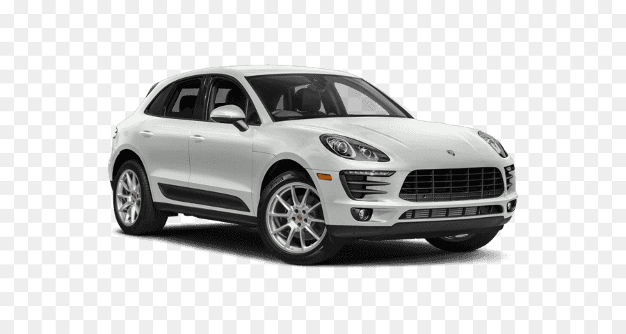 Detail Background Macan Nomer 53