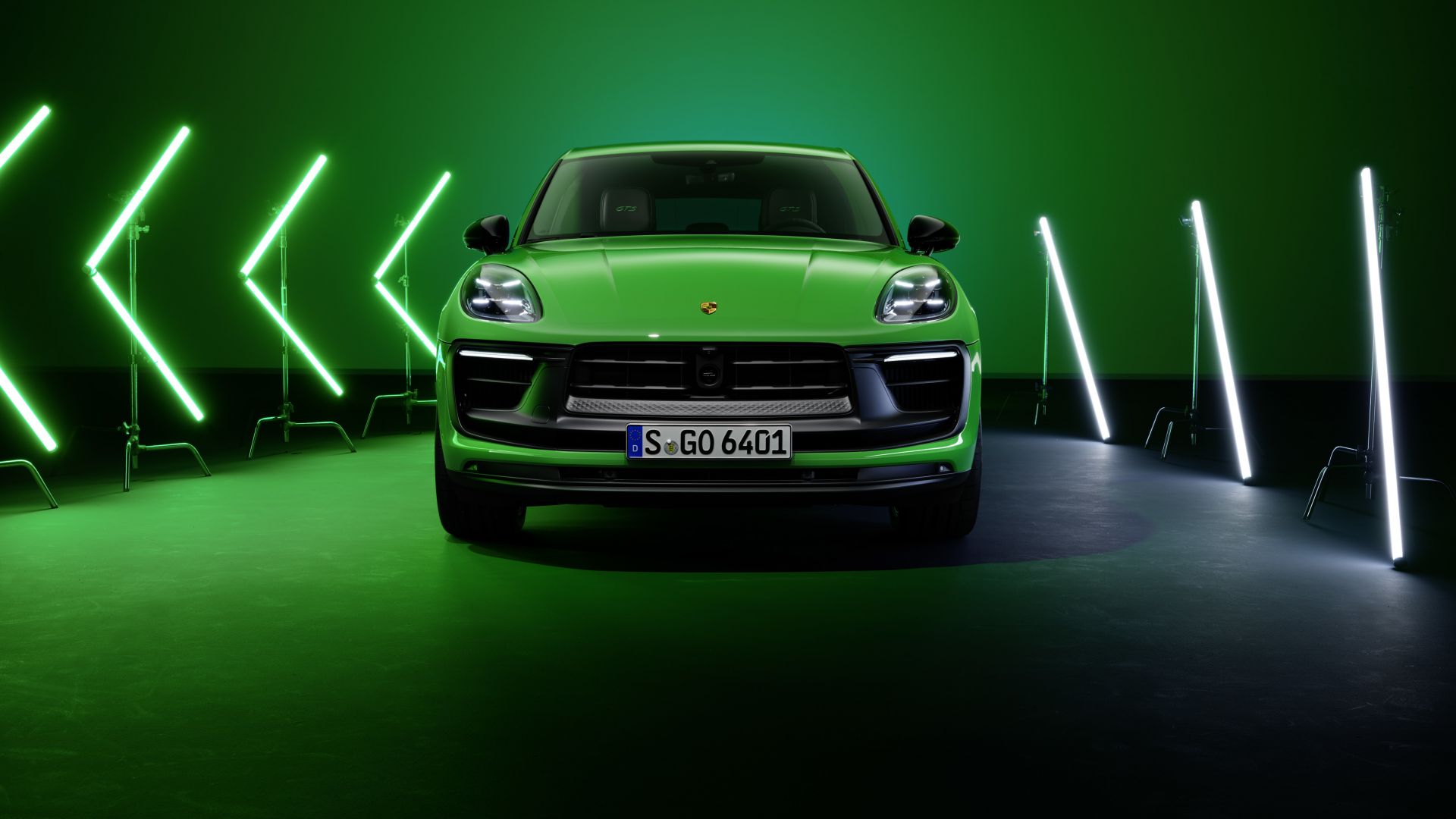 Detail Background Macan Nomer 54