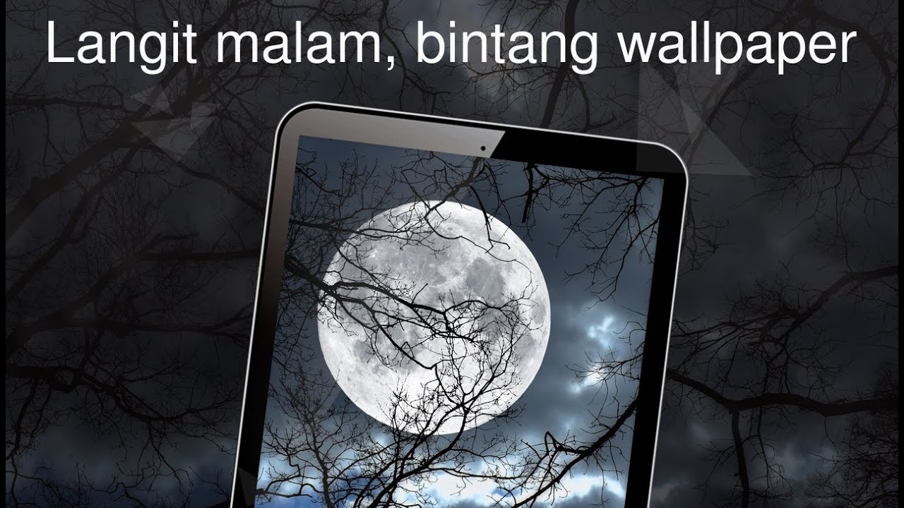 Detail Background Malam Bintang Nomer 45