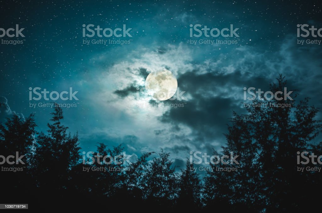 Detail Background Malam Indah Nomer 51