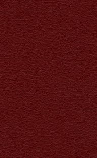 Detail Background Maroon Polos Nomer 23