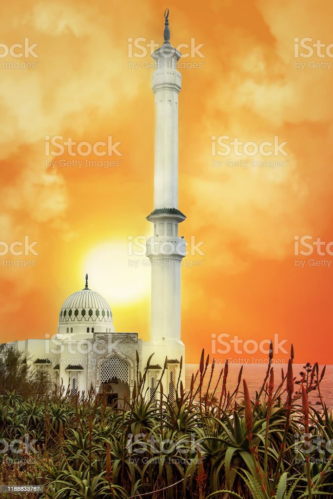 Detail Background Masjid Portrait Nomer 39
