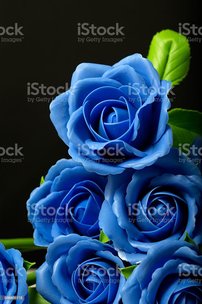 Detail Background Mawar Biru Nomer 23