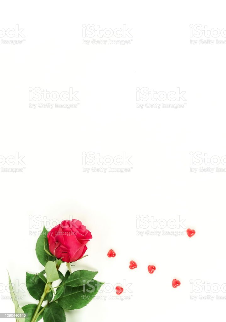Detail Background Mawar Merah Nomer 25