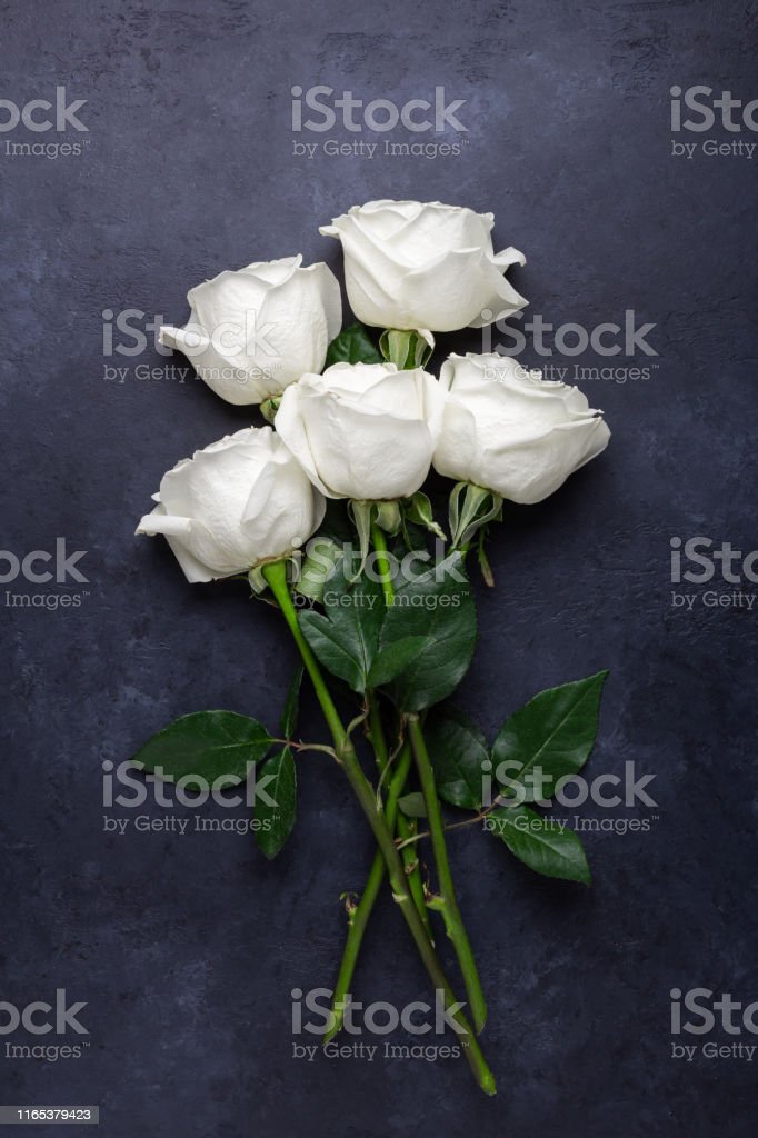 Detail Background Mawar Putih Nomer 18