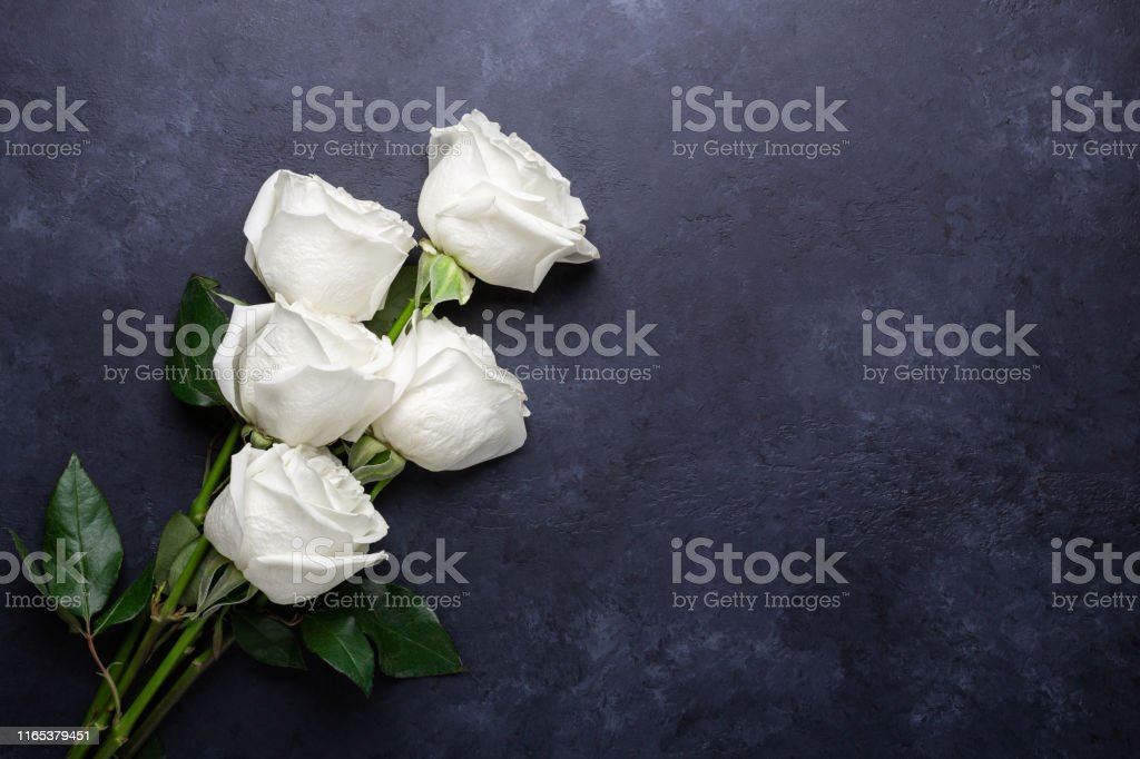 Detail Background Mawar Putih Nomer 21