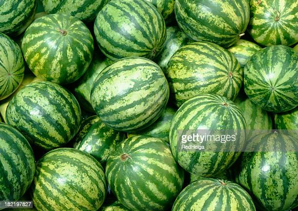 Detail Background Melon Nomer 14