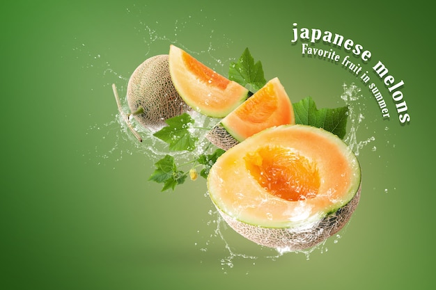 Detail Background Melon Nomer 19