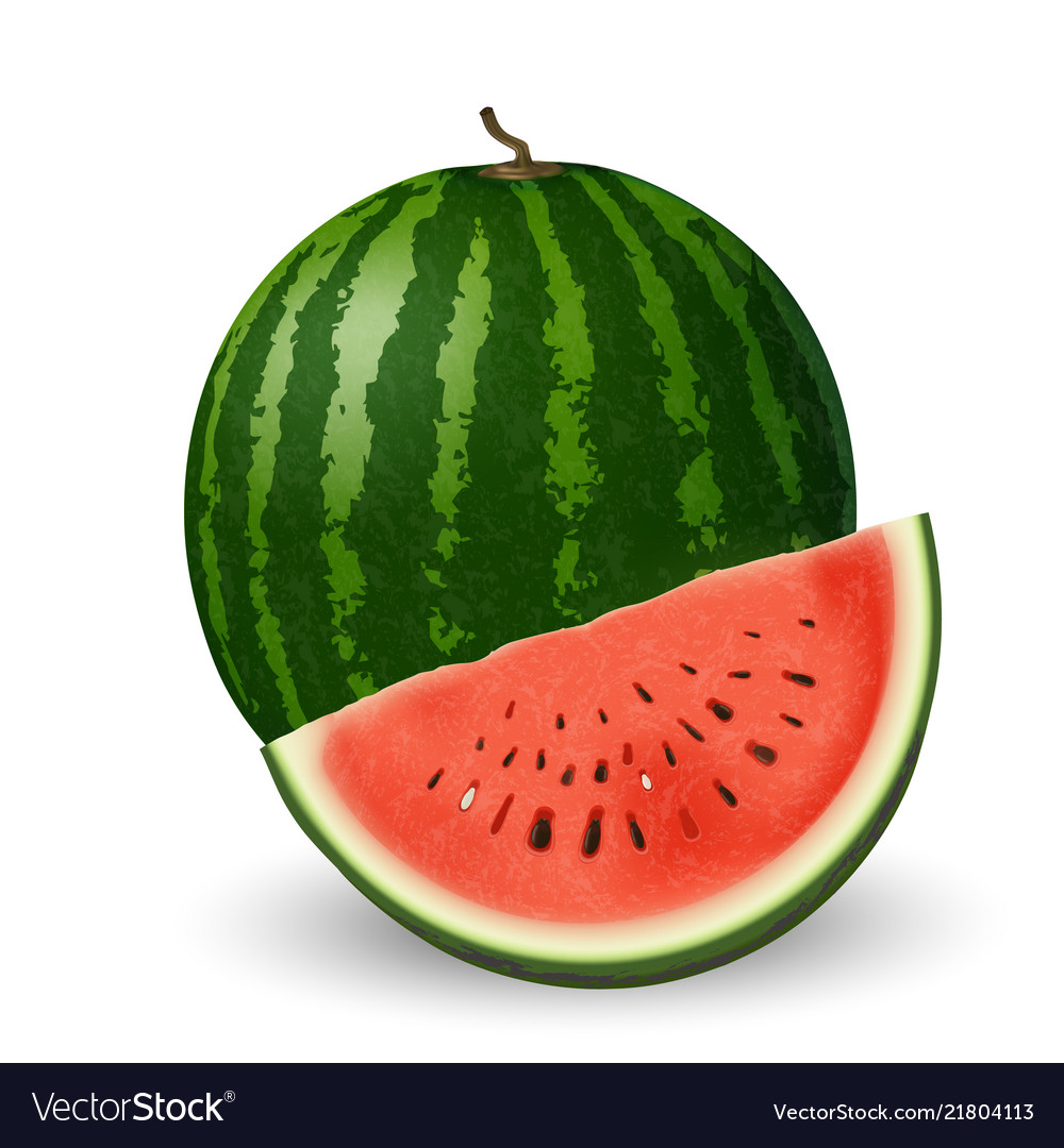 Detail Background Melon Nomer 38