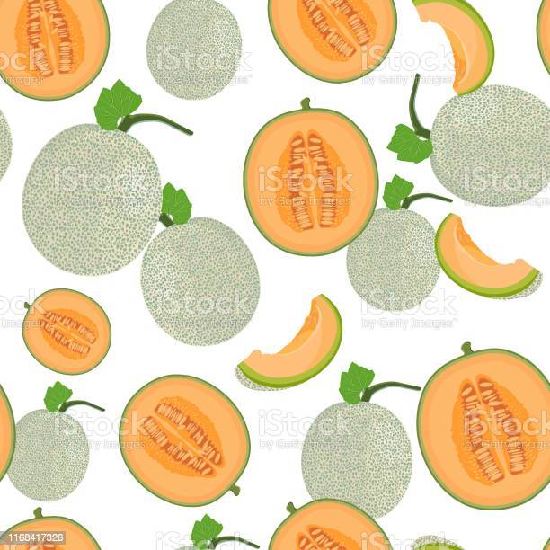 Detail Background Melon Nomer 46