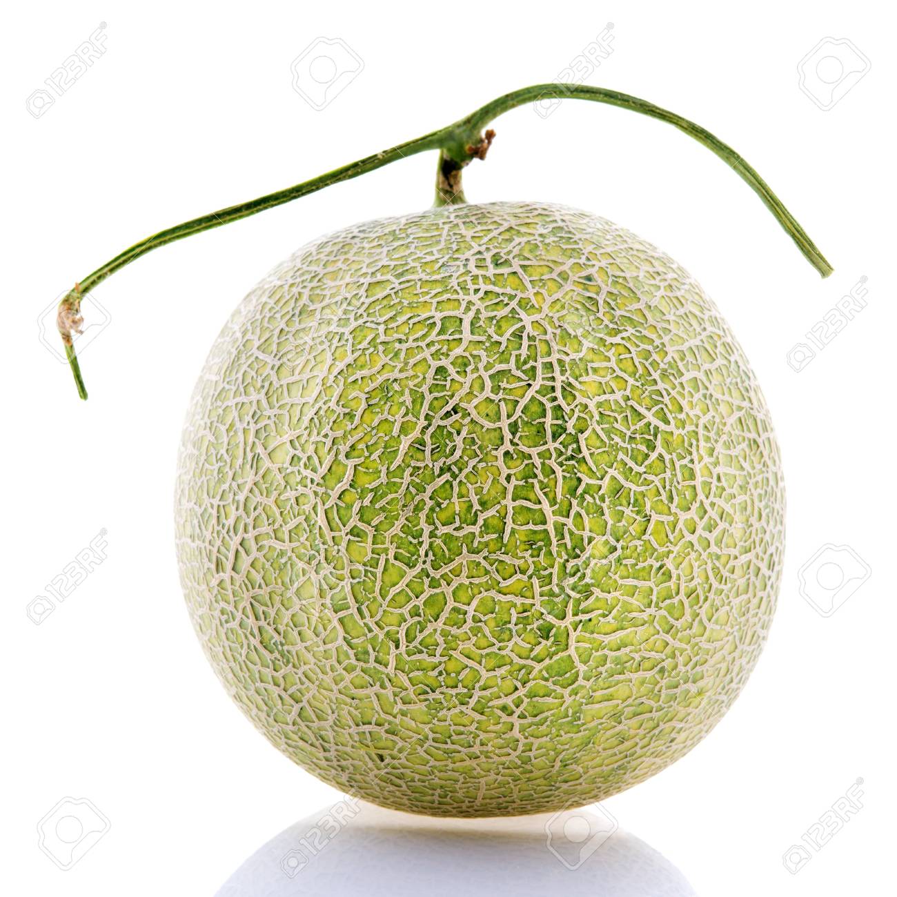 Detail Background Melon Nomer 52