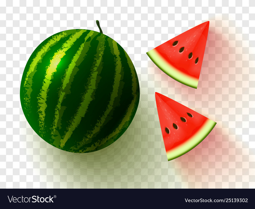 Detail Background Melon Nomer 56