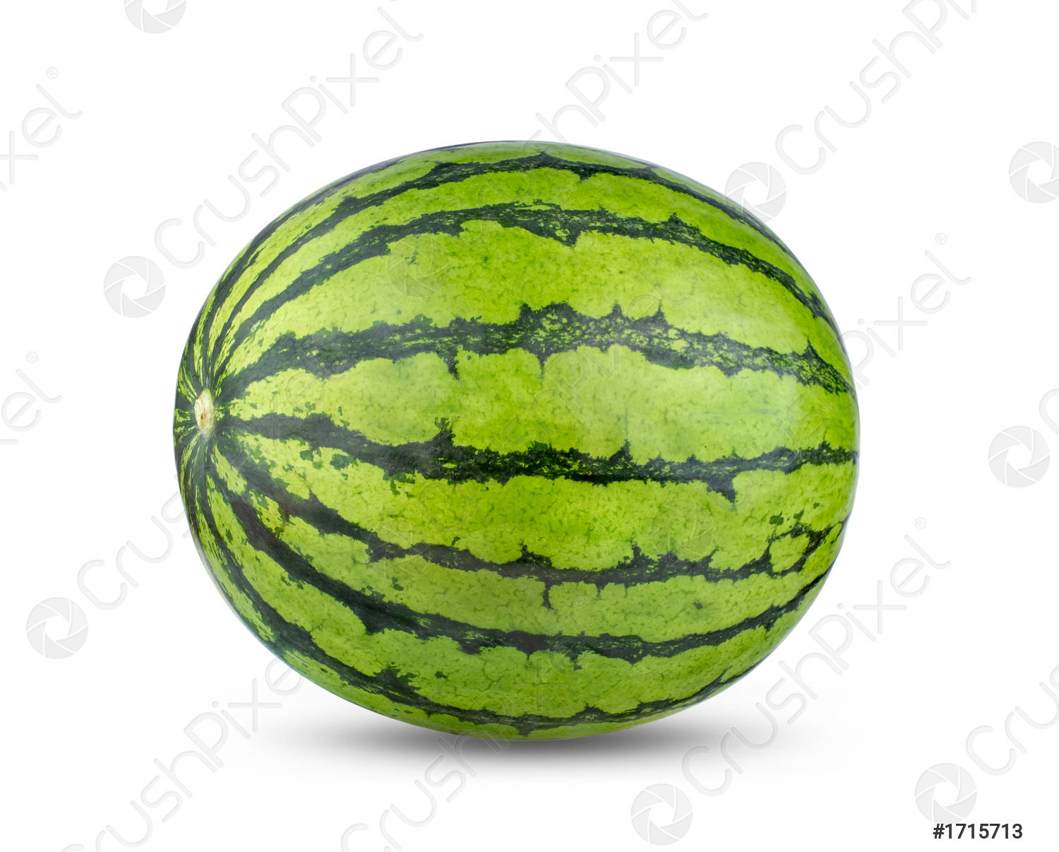 Detail Background Melon Nomer 57