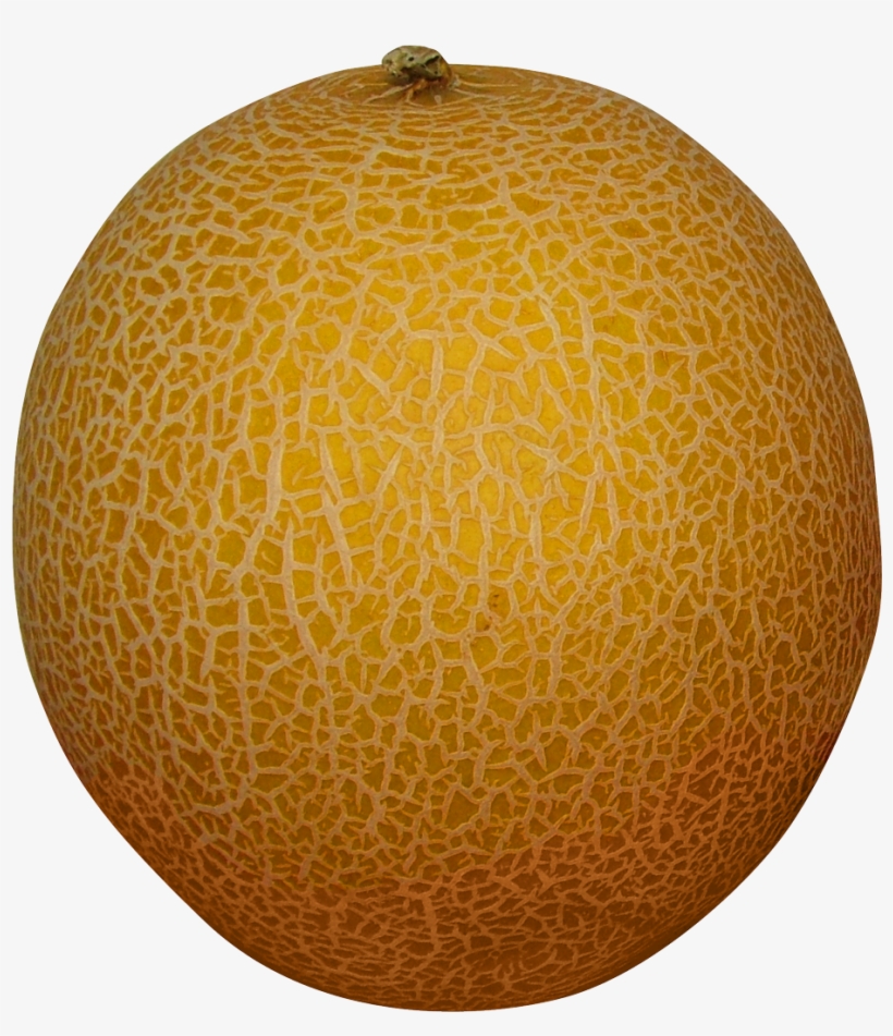 Detail Background Melon Nomer 58