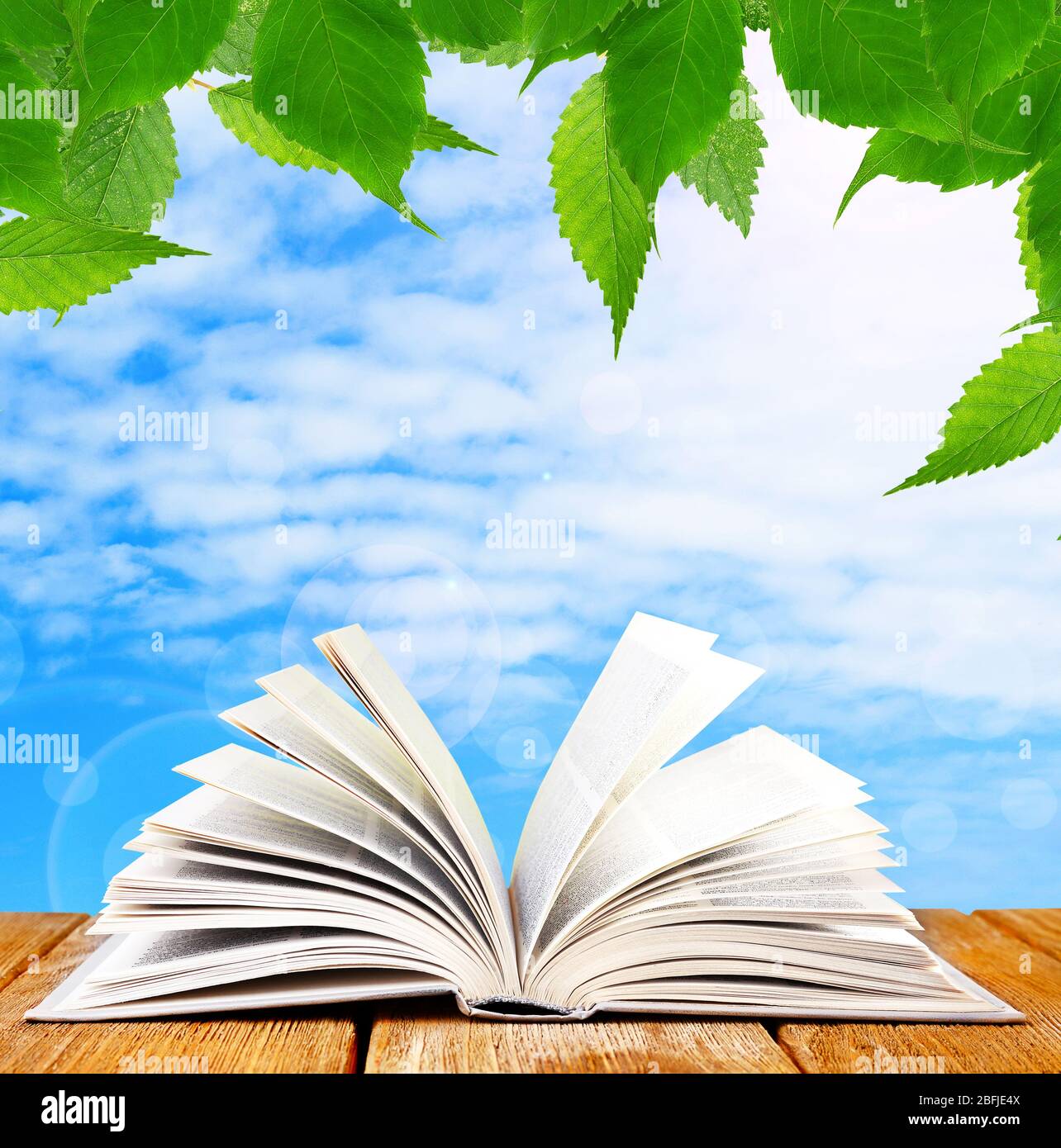 Detail Background Membaca Buku Nomer 17