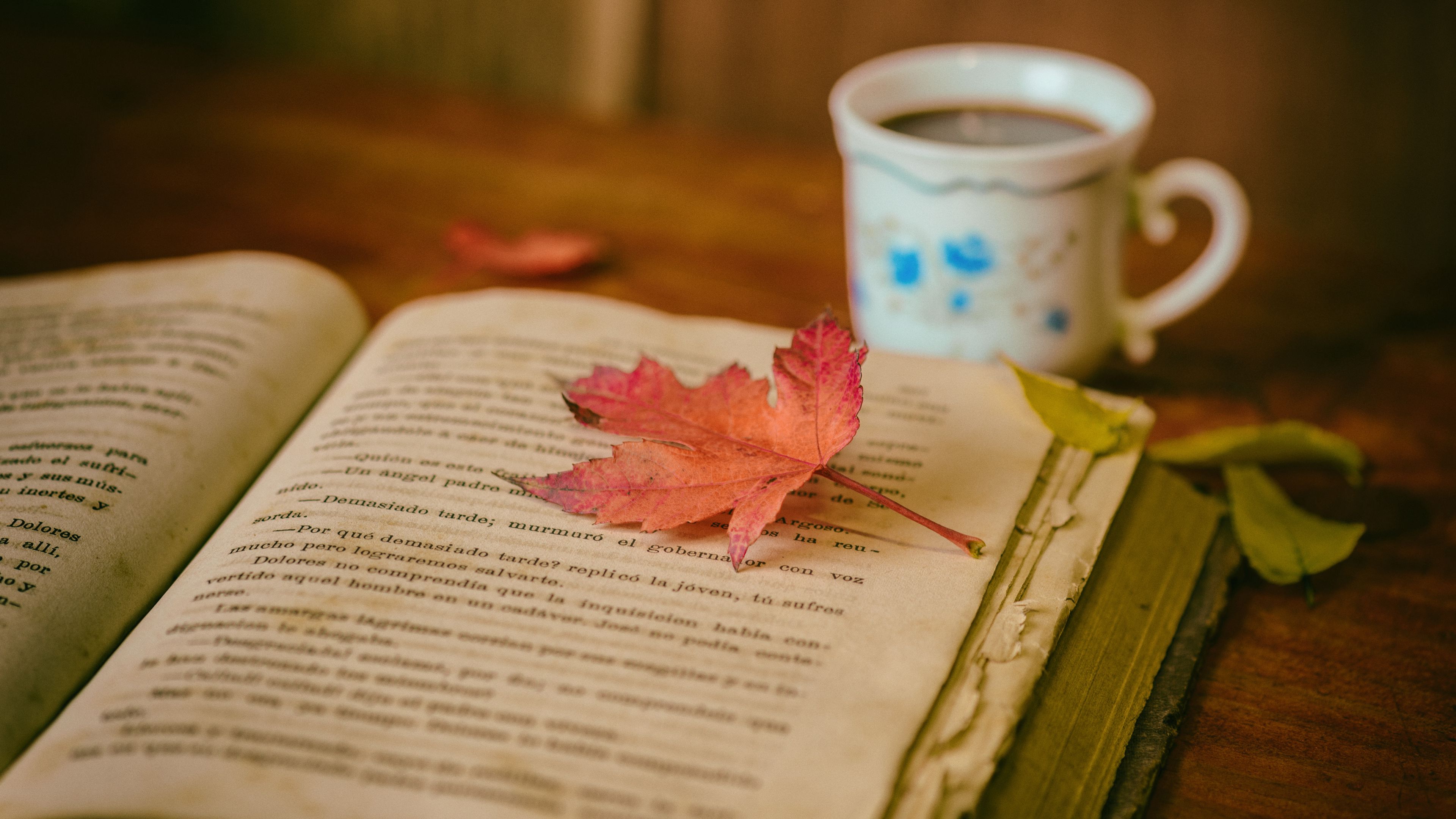 Detail Background Membaca Buku Nomer 29