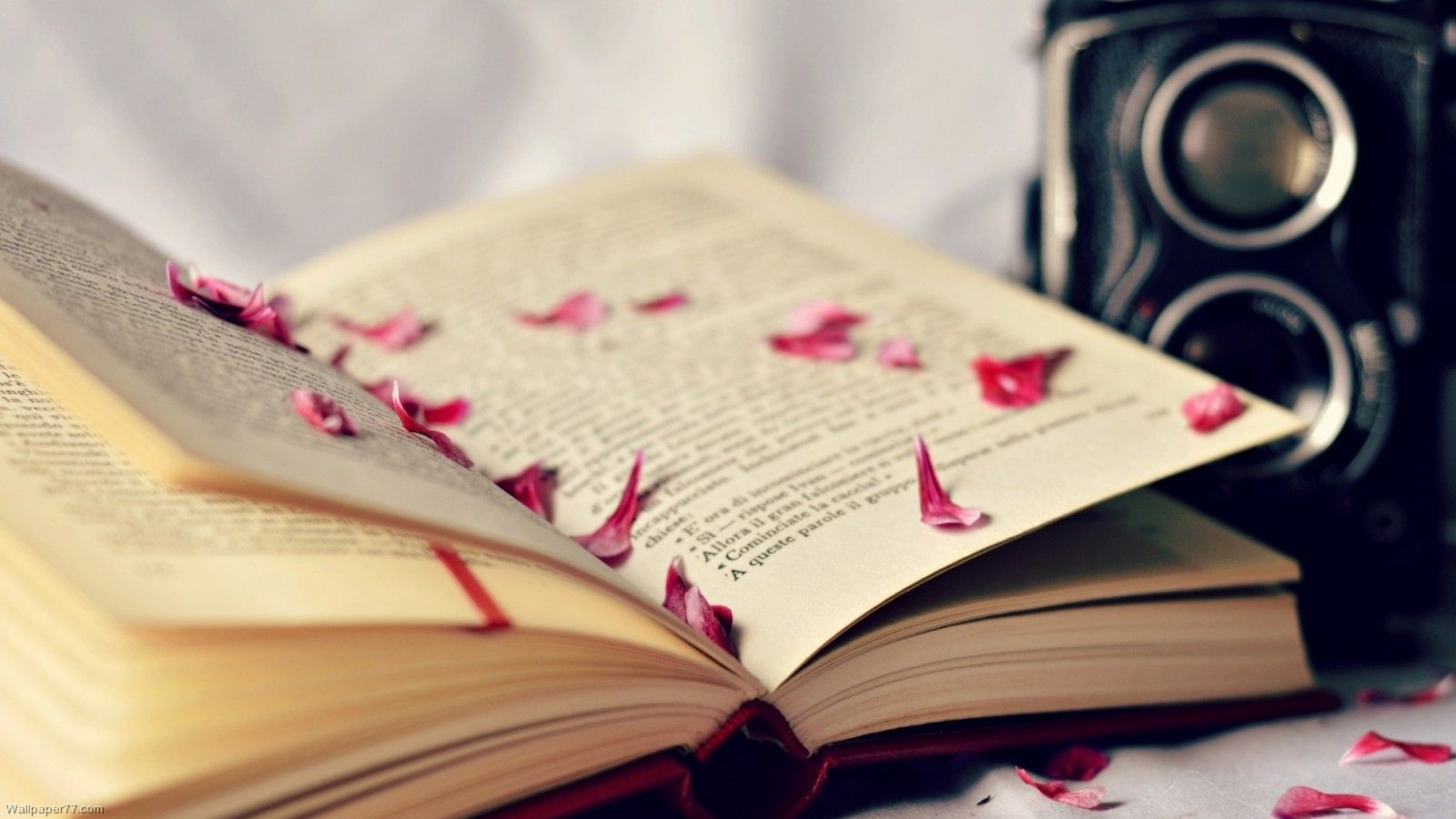 Detail Background Membaca Buku Nomer 38