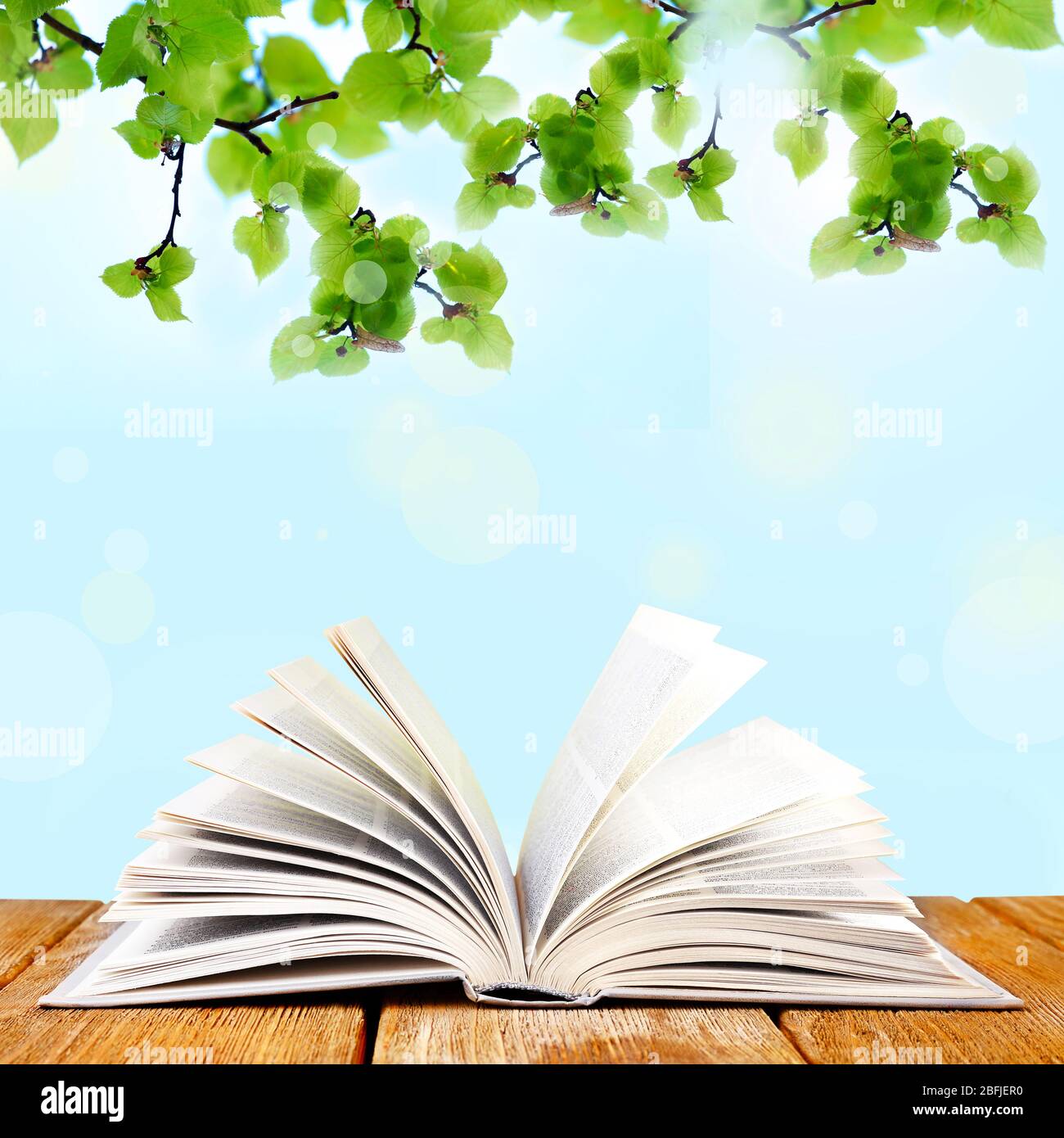 Detail Background Membaca Buku Nomer 46