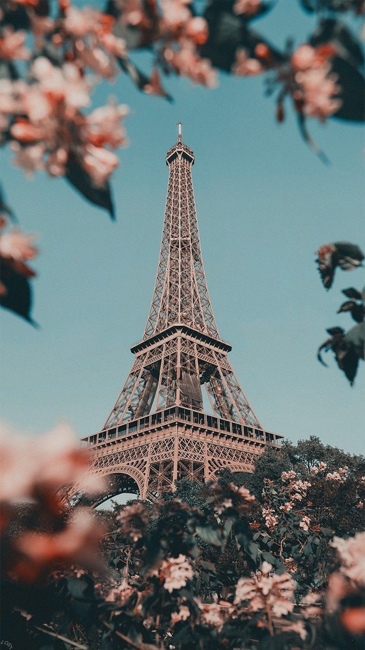 Detail Background Menara Eiffel Tumblr Nomer 6