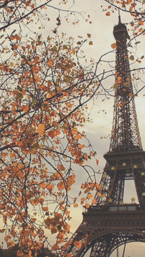 Detail Background Menara Eiffel Tumblr Nomer 10