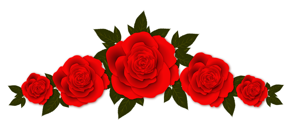 Detail Background Merah Bunga Nomer 41