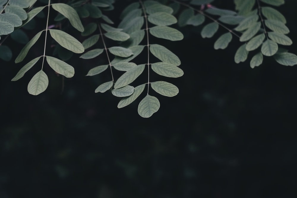 Detail Background Minimalist Hd Nomer 31