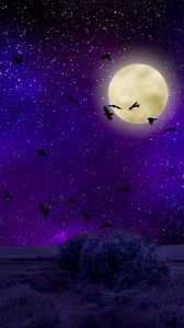 Detail Background Moonlight Nomer 41