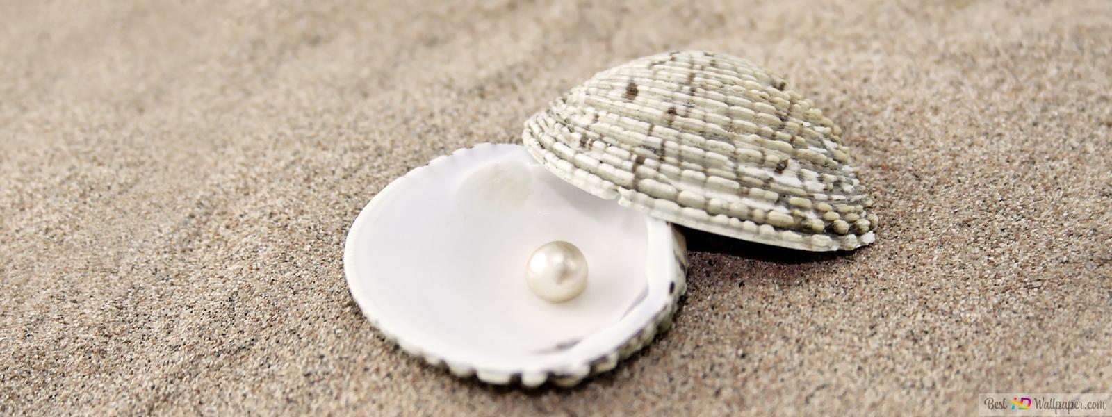 Detail Background Mutiara Nomer 55