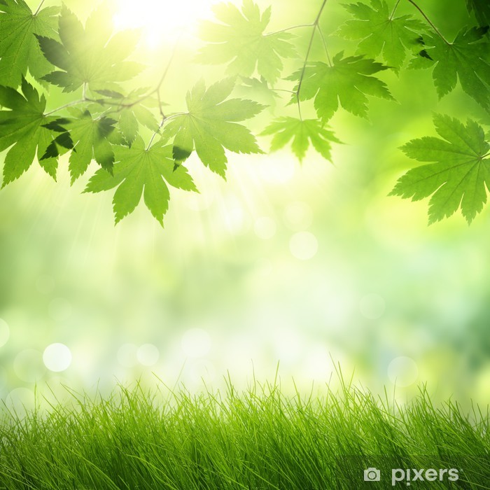 Detail Background Nature Green Nomer 16