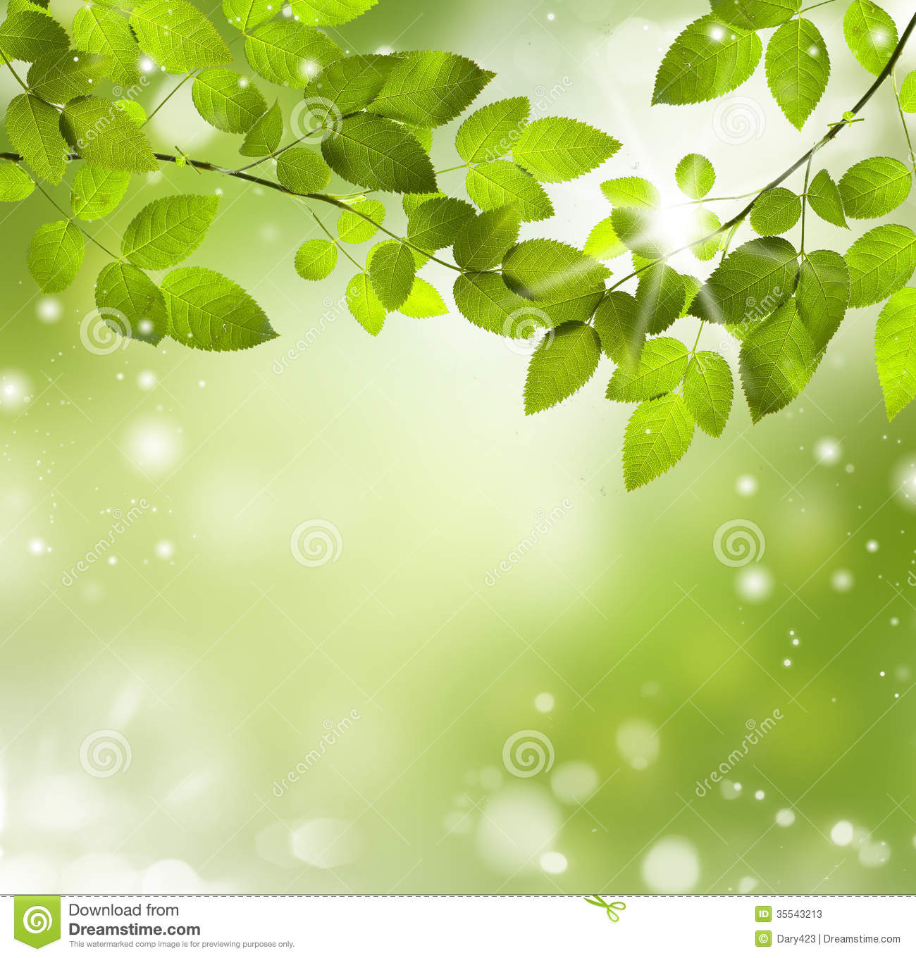 Detail Background Nature Green Nomer 17