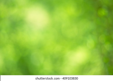 Detail Background Nature Green Nomer 29