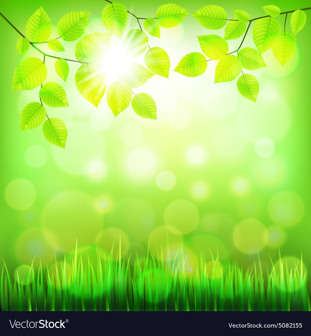 Detail Background Nature Green Nomer 30