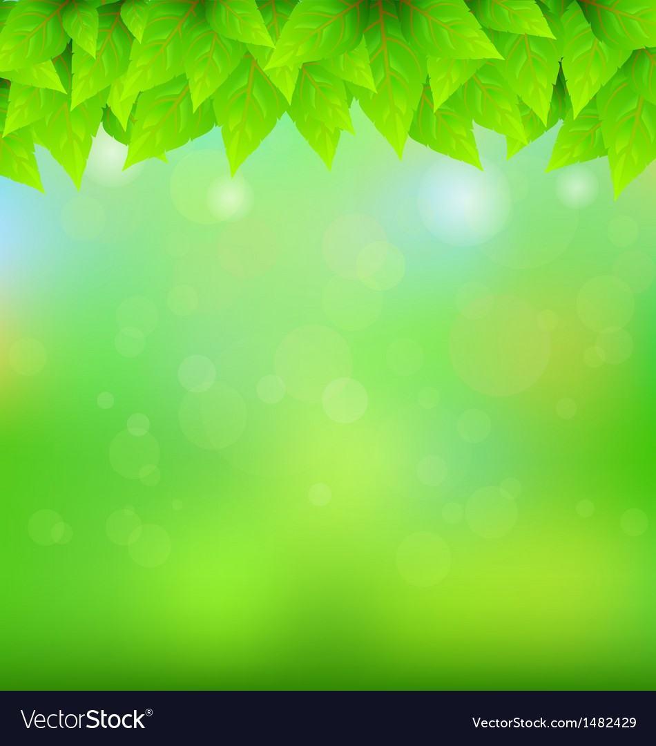 Detail Background Nature Green Nomer 5