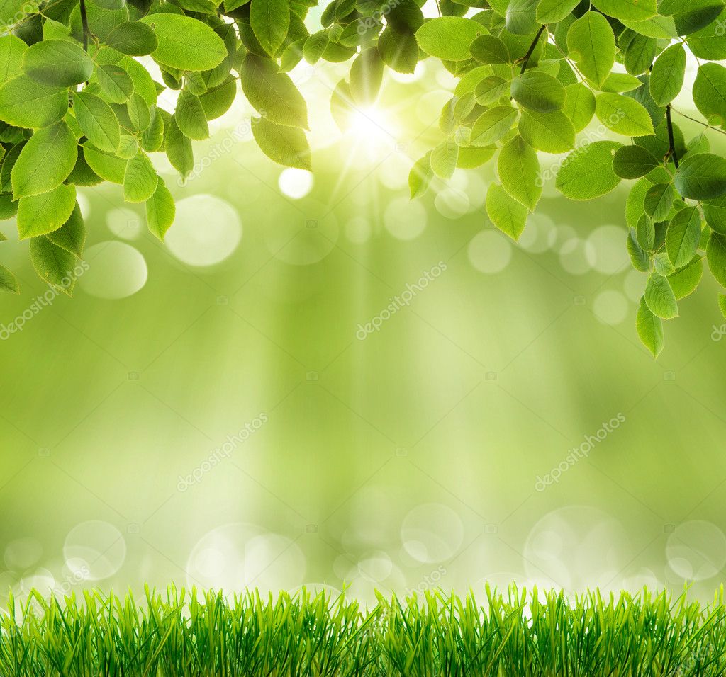 Download Background Nature Green Nomer 10