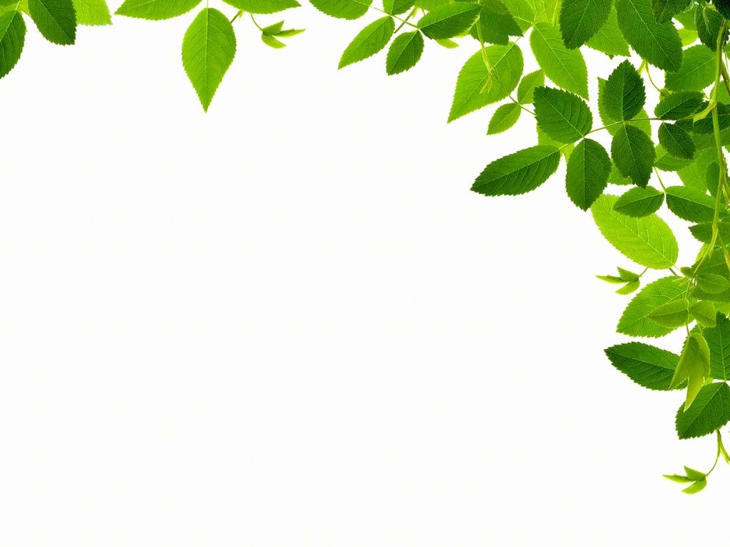 Detail Background Nature Powerpoint Nomer 19