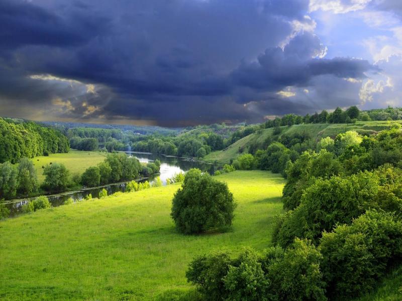 Detail Background Nature Powerpoint Nomer 47