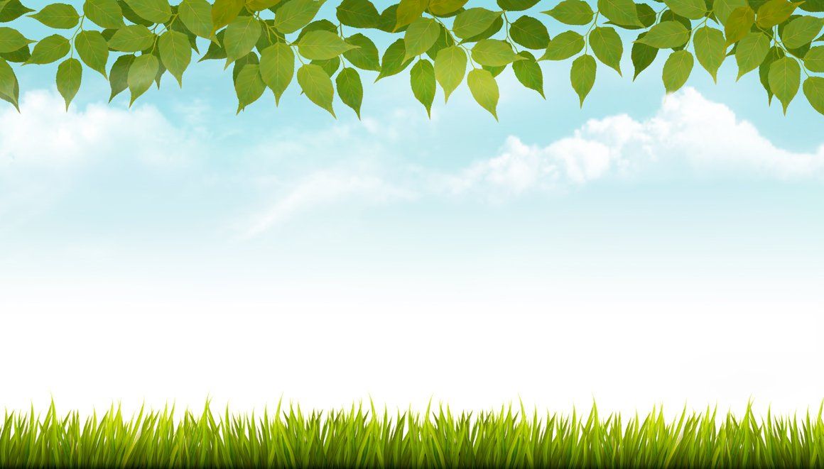 Detail Background Nature Powerpoint Nomer 10