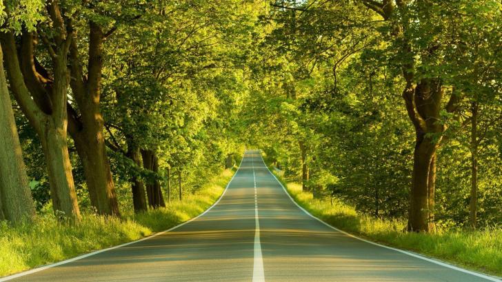 Detail Background Nature Wallpaper Nomer 48