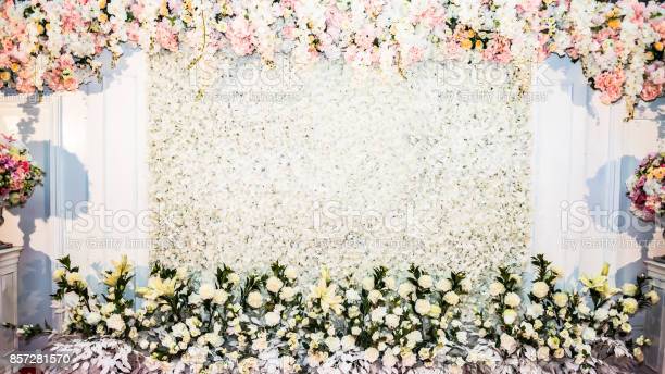 Detail Background Nikah Nomer 53