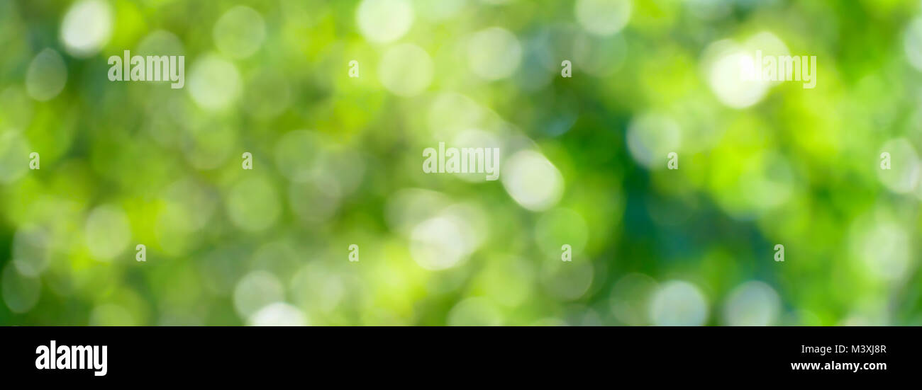 Detail Background Nuansa Hijau Nomer 19