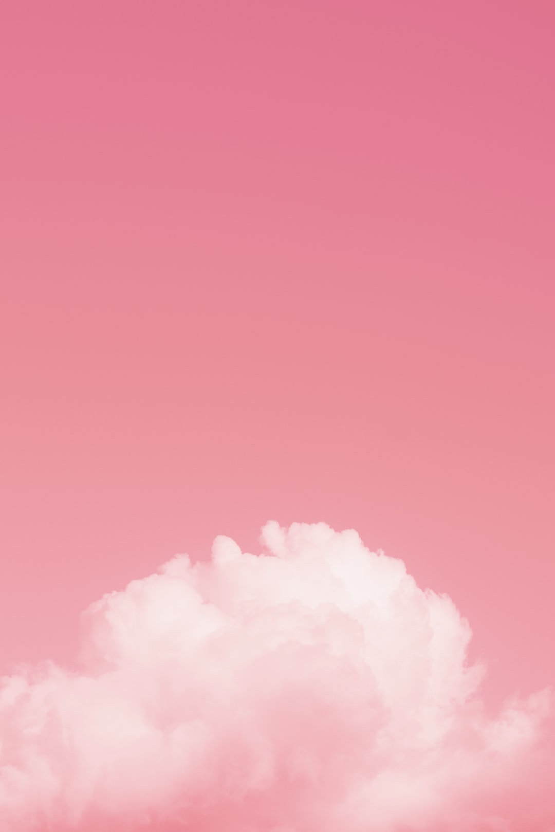 Detail Background Nuansa Pink Nomer 3