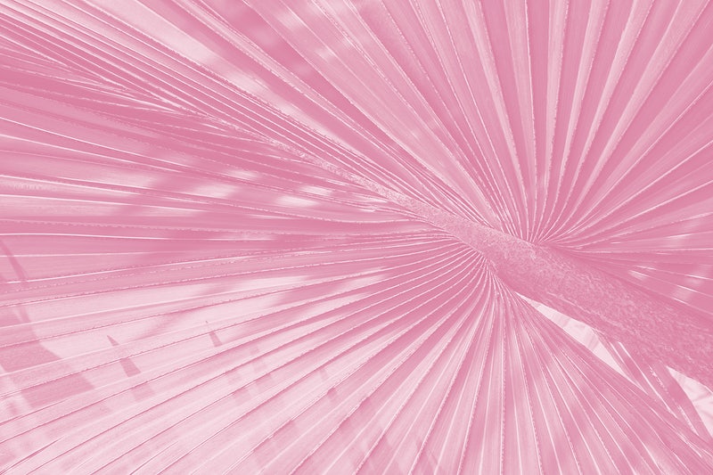 Detail Background Nuansa Pink Nomer 41