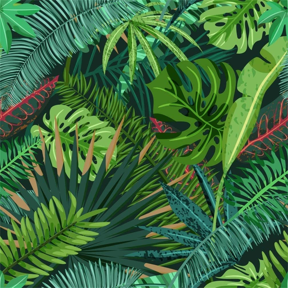 Detail Background On Amazon Nomer 27