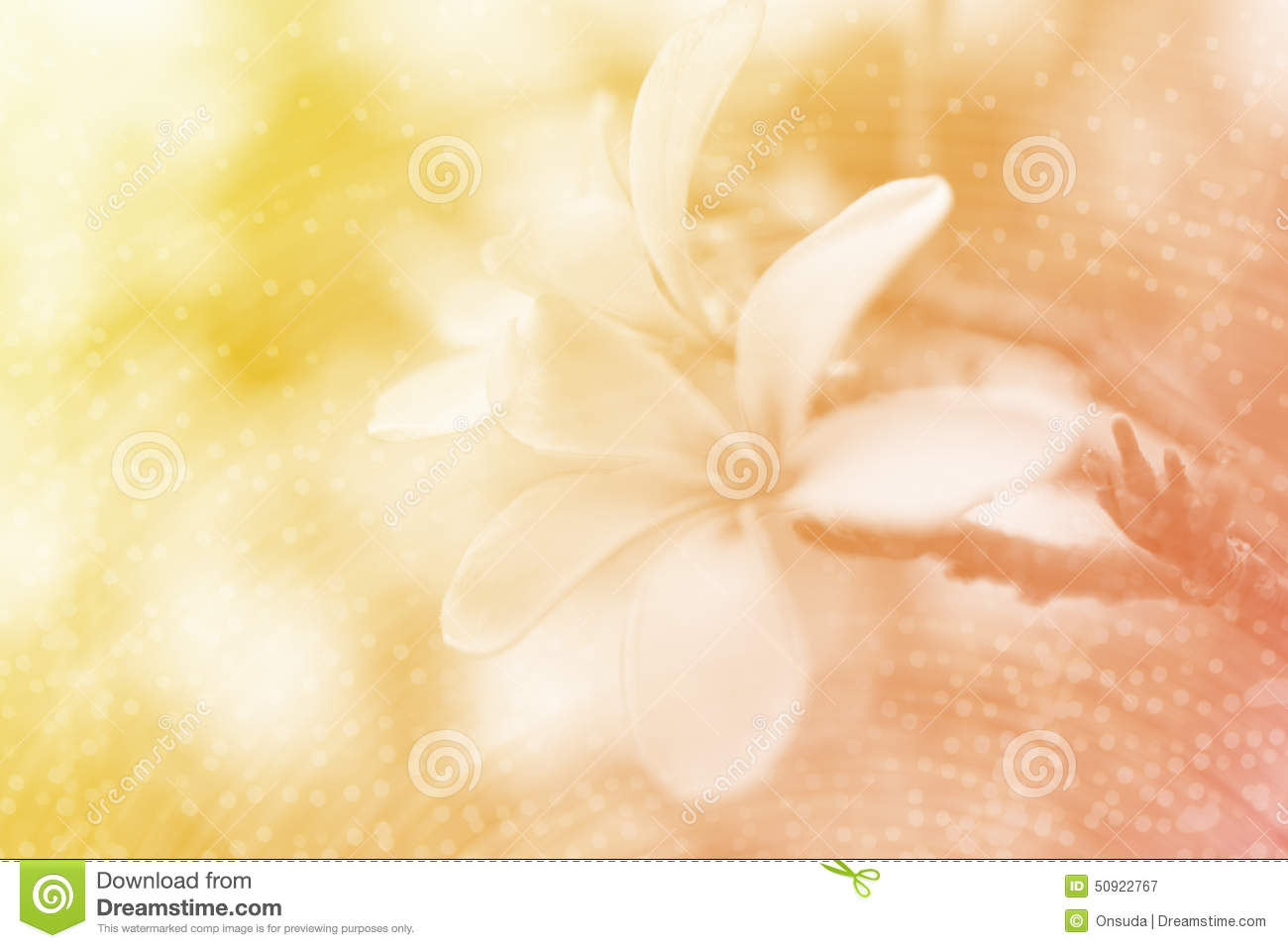 Detail Background Orange Soft Nomer 38