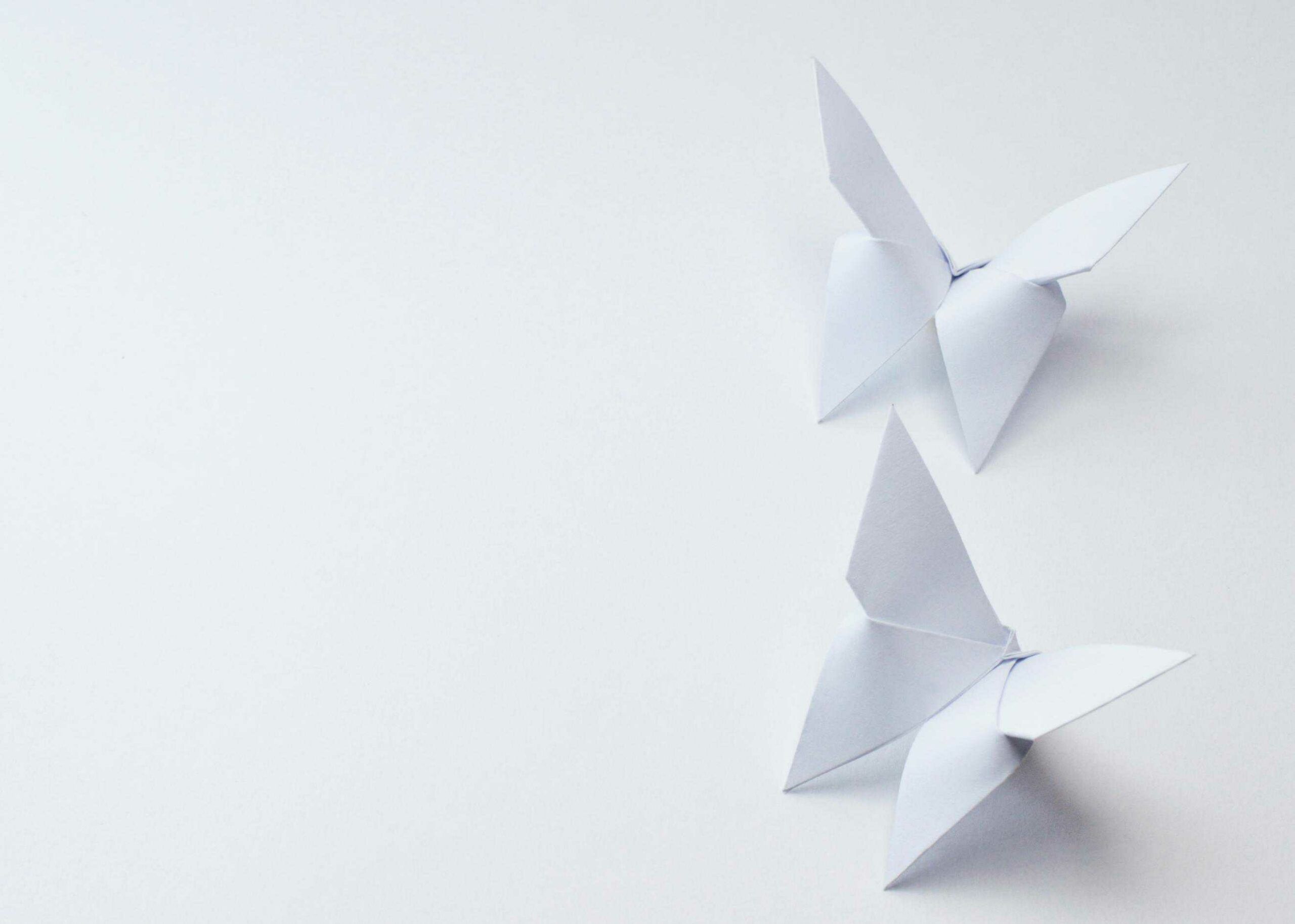 Detail Background Origami Nomer 44