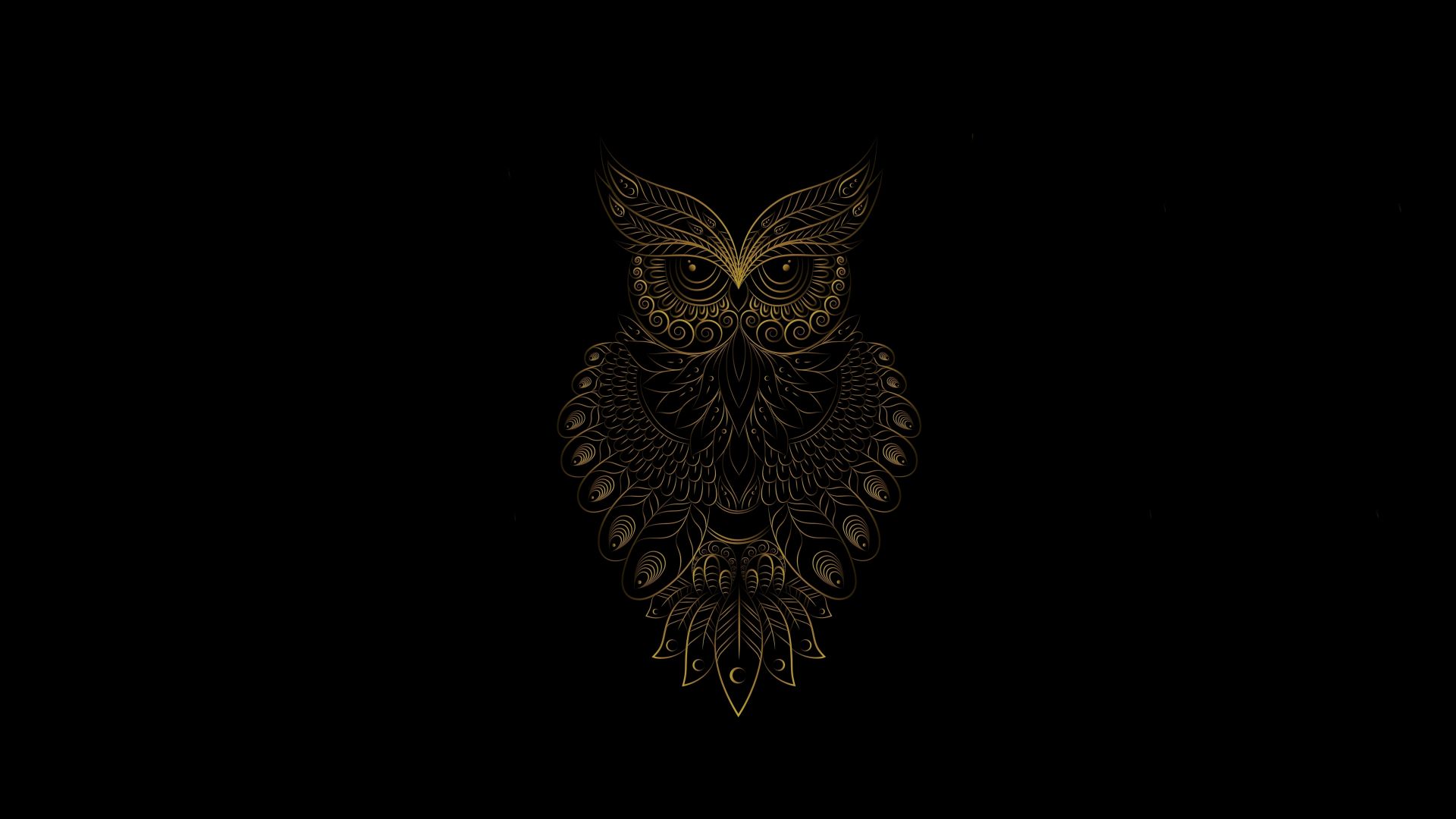 Detail Background Owl Nomer 27